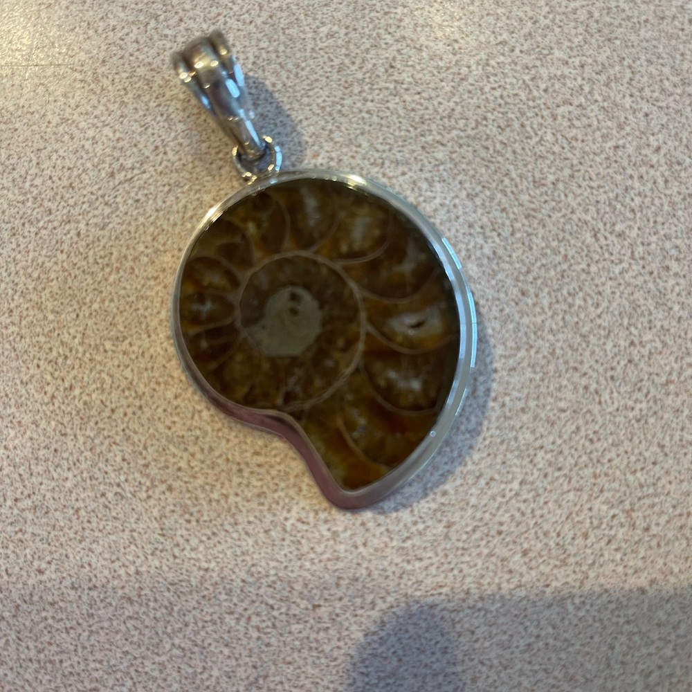 Fossil Ammonite Pendant with Sterling Silver Trim